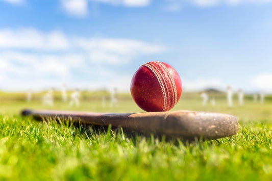 Hard ball cricket bat