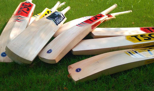 How TSC Cricket Bats are Made? β Step by Step Guide - tornadosportscompany