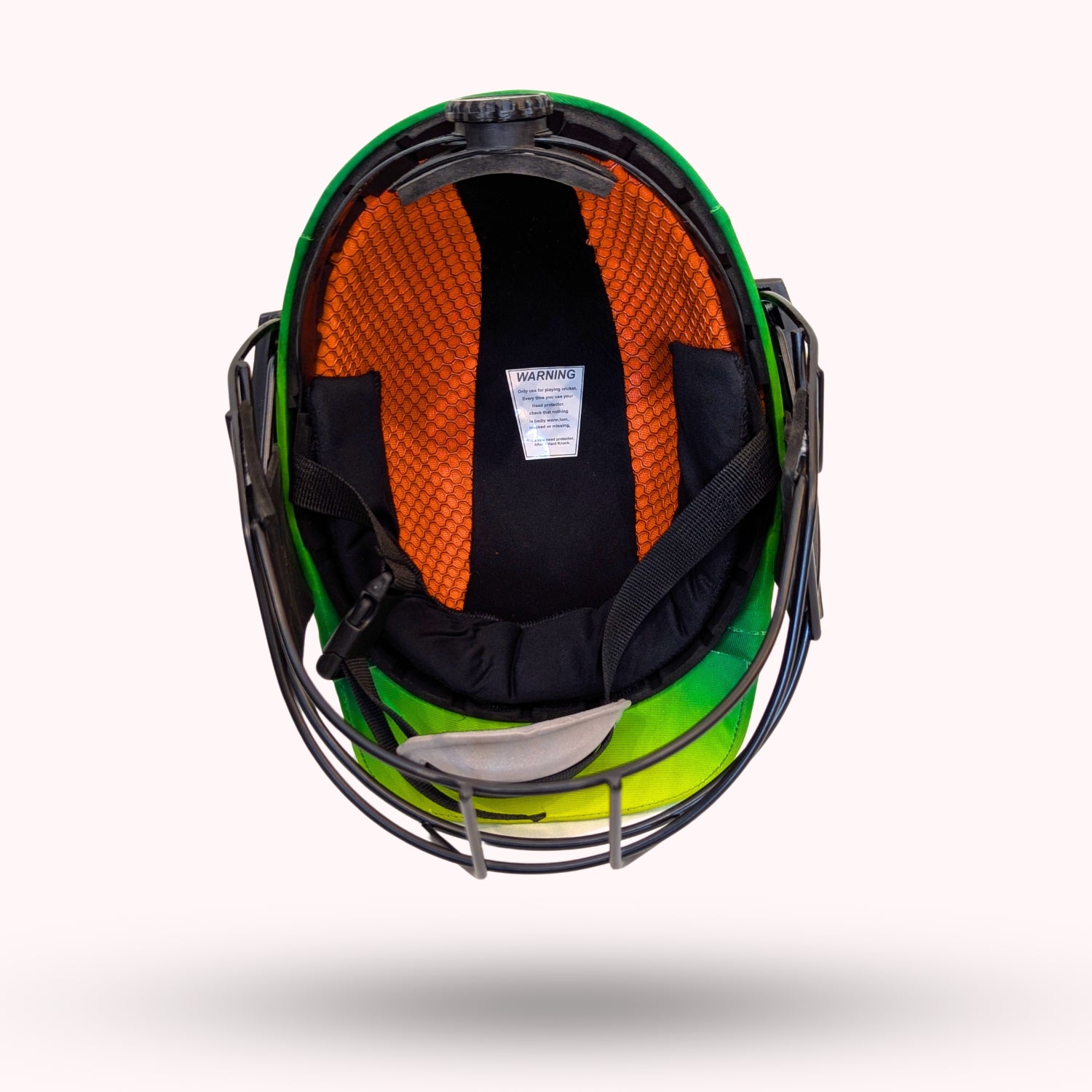 inside tsc cricke thelmet