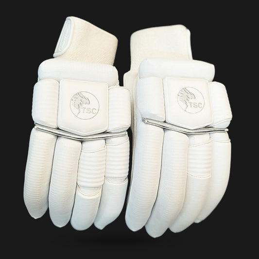 βTest Edition Cricket Gloves,β βPremium Batting Gloves,β and βWhite Cricket Glovesβ