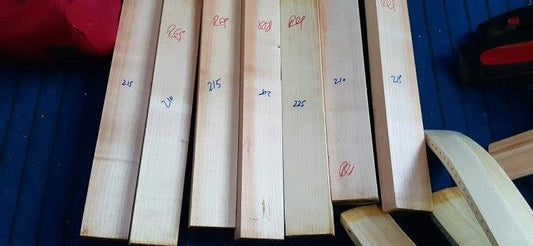 Why English cricket bat willow? - tornadosportscompany
