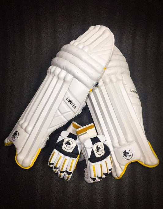 Cricket Pads & Gloves - White Cricket Batting Set - 