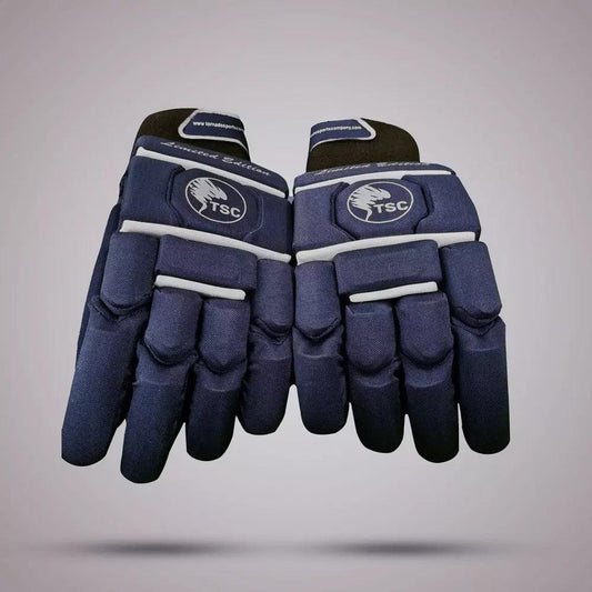 Cricket Batting Gloves (Blue LE) - Fabric Material - TSC