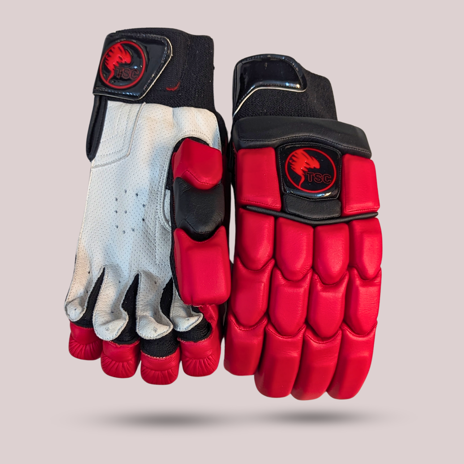 Phoenix Limited Edition Cricket Batting Gloves – TSC