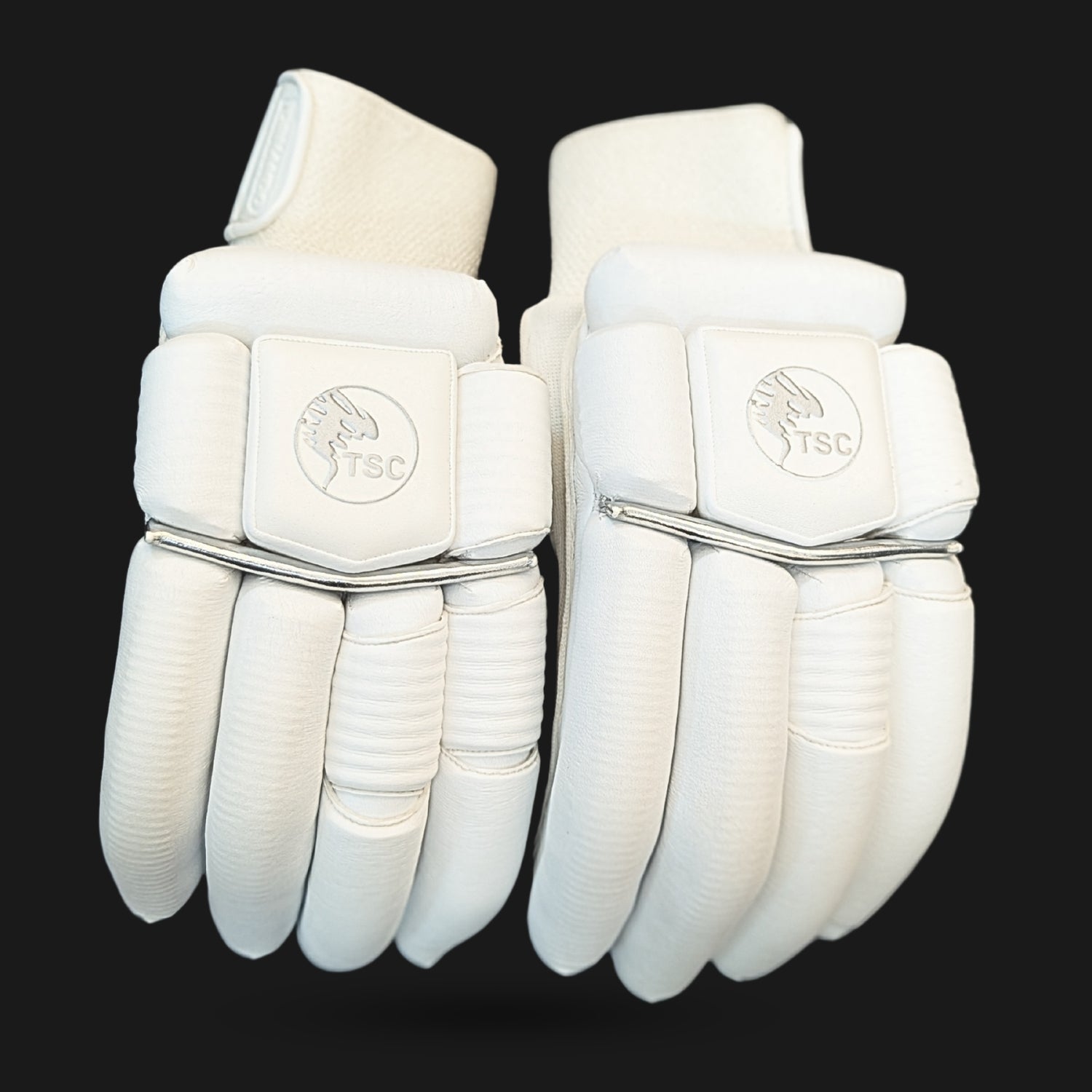 “Test Edition Cricket Gloves,” “Premium Batting Gloves,” and “White Cricket Gloves”