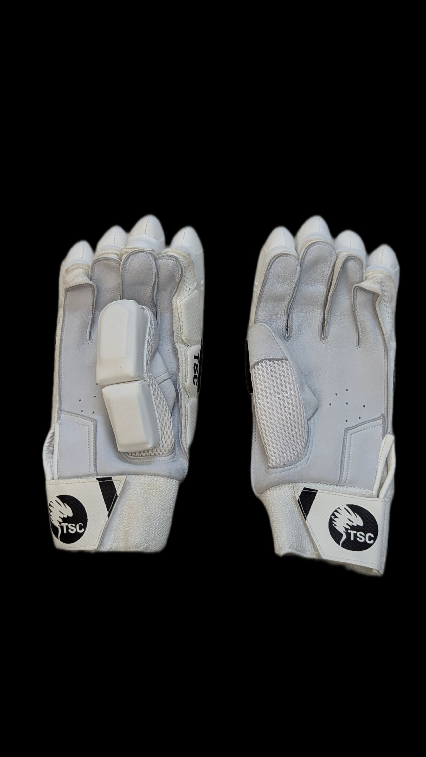 TSC Polar-White Cricket Gloves