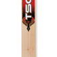 Cricket Bats | TSC | Phoenix Red | Best Cricket Bats Speed and Swings