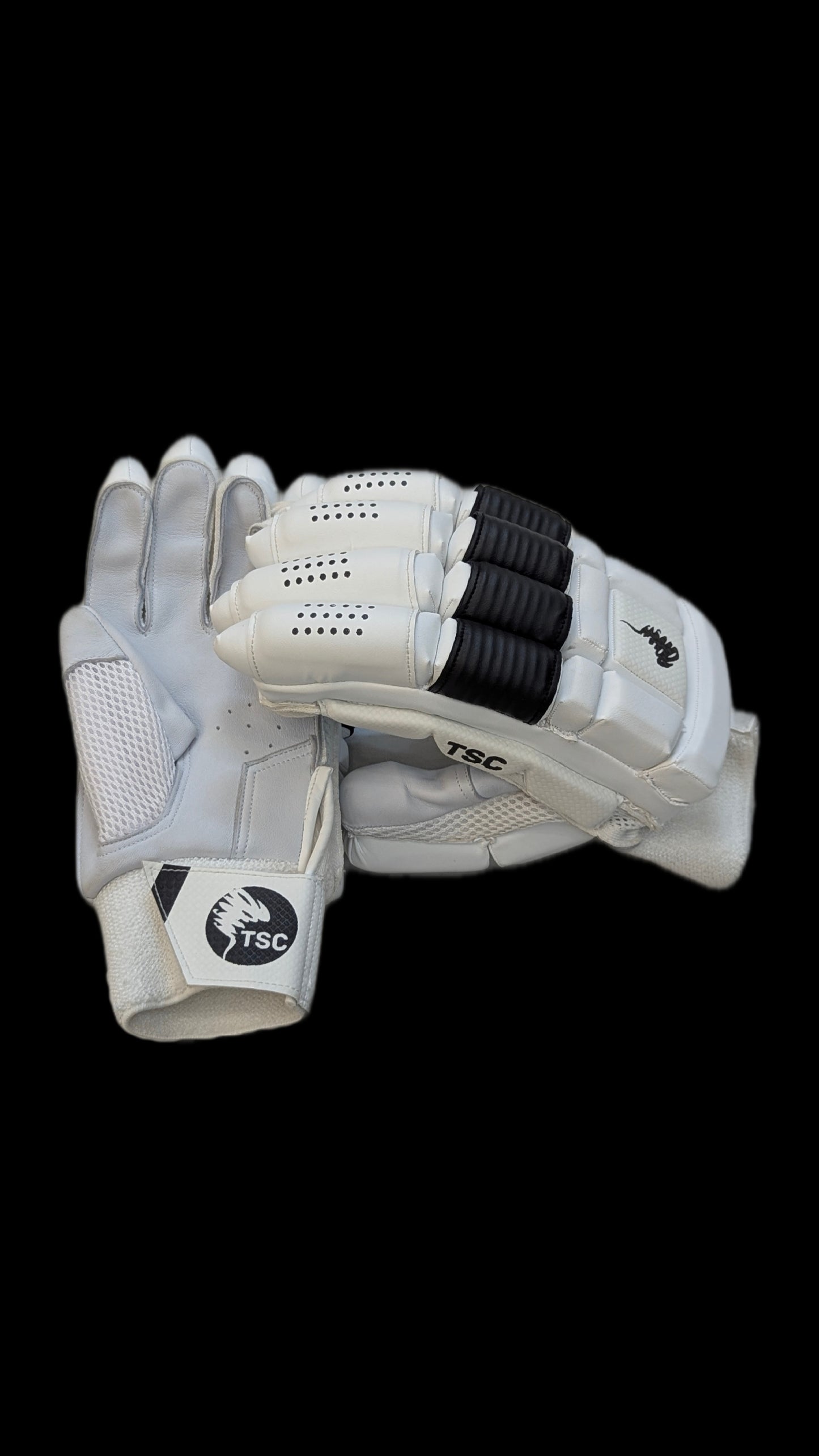 TSC Polar-White Cricket Gloves