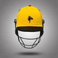 best sports company in united states | fiber glass shell | cricket helmet